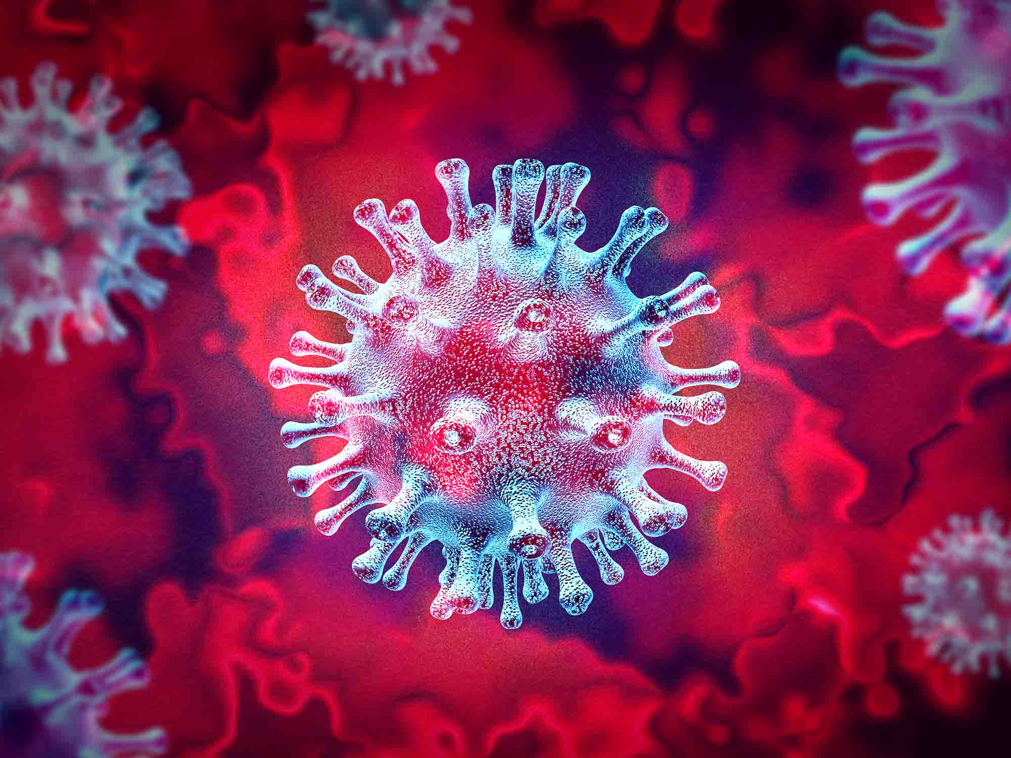 Virus